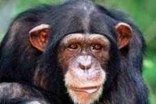 آزادی پس از ۳۰ سال در سایت علی نوروزی