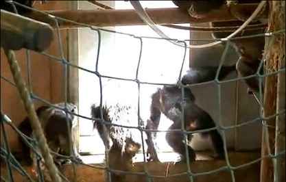 آزادی پس از ۳۰ سال در سایت علی نوروزی