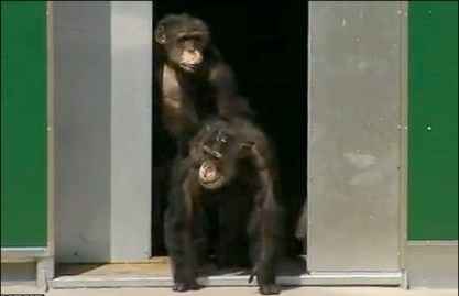 آزادی پس از ۳۰ سال در سایت علی نوروزی