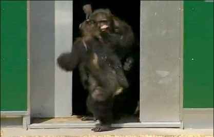 آزادی پس از ۳۰ سال در سایت علی نوروزی