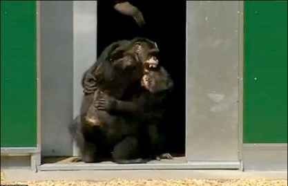 آزادی پس از ۳۰ سال در سایت علی نوروزی