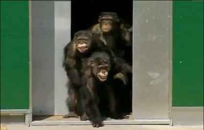 آزادی پس از ۳۰ سال در سایت علی نوروزی