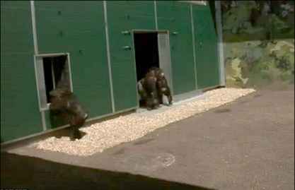 آزادی پس از ۳۰ سال در سایت علی نوروزی