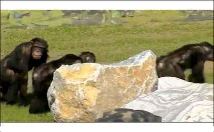 آزادی پس از ۳۰ سال در سایت علی نوروزی