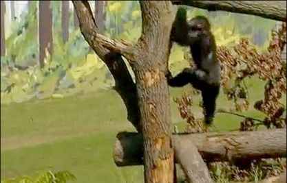 آزادی پس از ۳۰ سال در سایت علی نوروزی