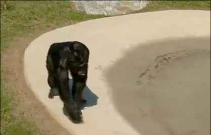 آزادی پس از ۳۰ سال در سایت علی نوروزی