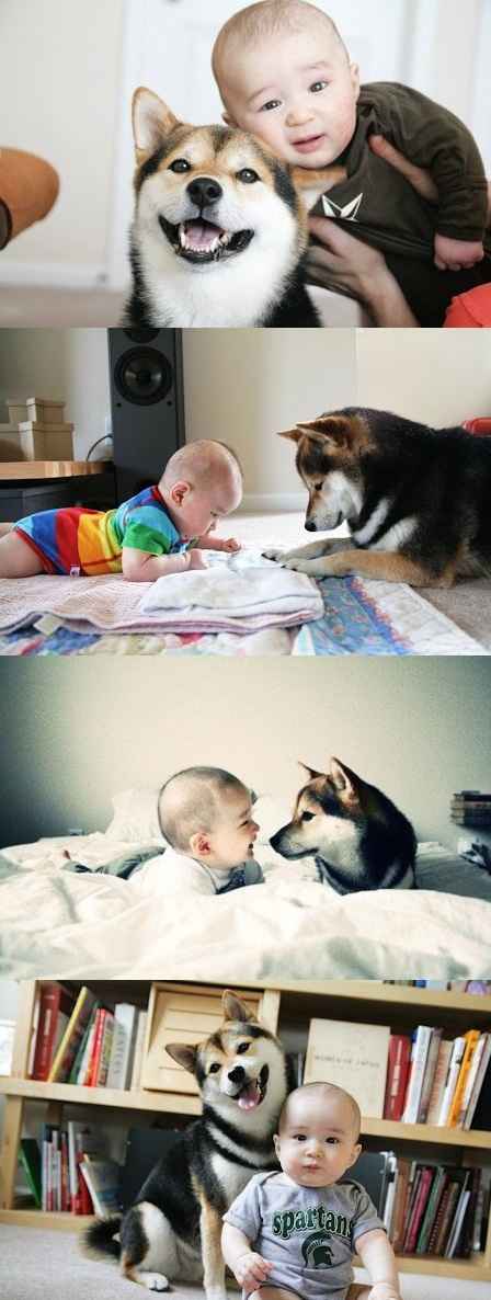 ماجرای جالب و عجیب در سایت علی نوروزی