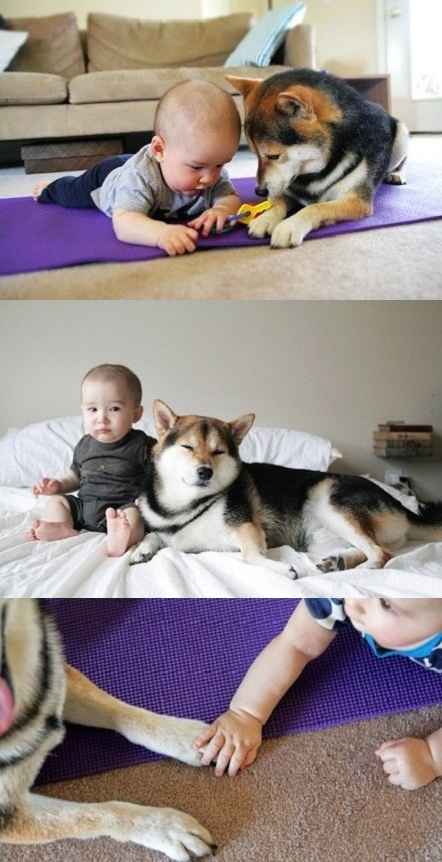 ماجرای جالب و عجیب در سایت علی نوروزی