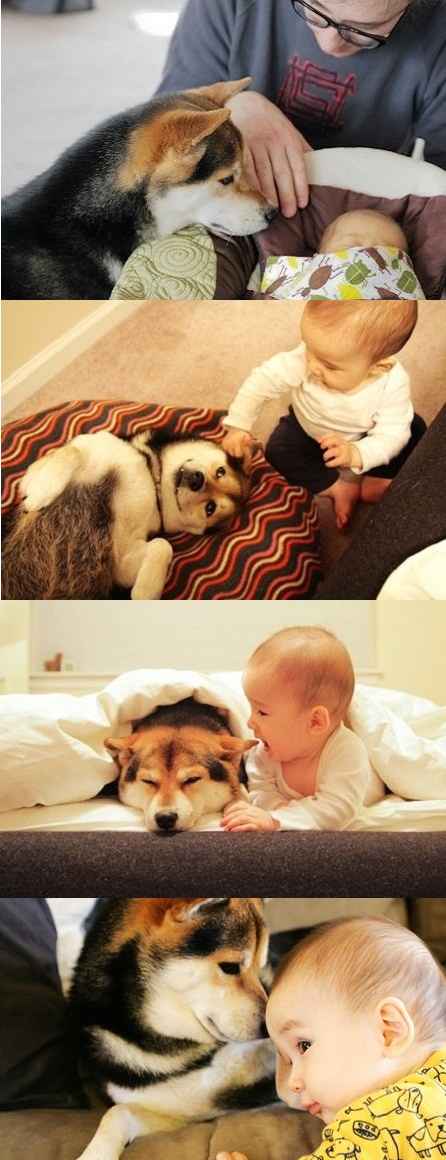 ماجرای جالب و عجیب در سایت علی نوروزی