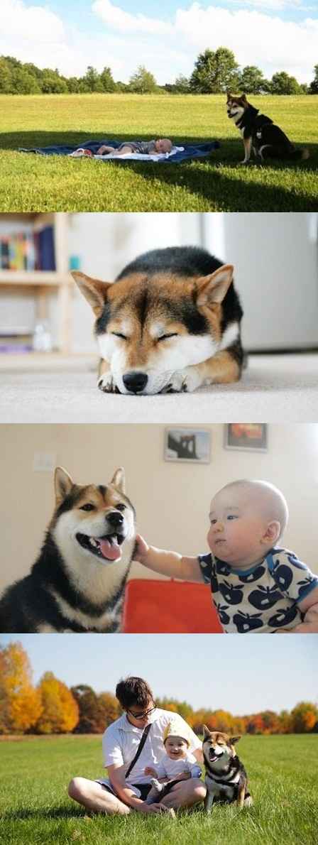 ماجرای جالب و عجیب در سایت علی نوروزی