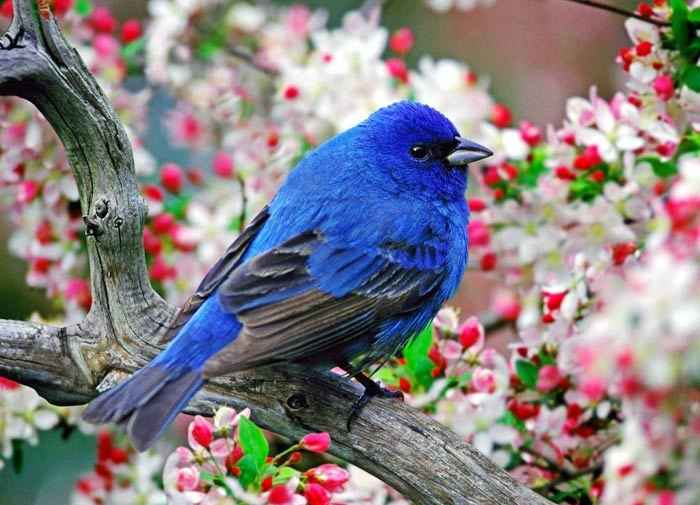 رنگ آمیزی خداوند در سایت علی نوروزی