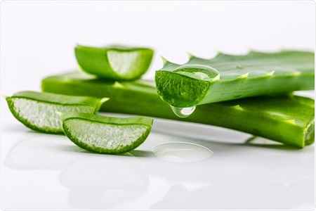 خواص و مضرات آلوئه ورا  Aloe در سایت علی نوروزی