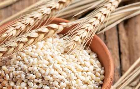 خواص و مضرات جو Barley در سایت علی نوروزی