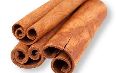 خواص و مضرات فلوس Cassia در سایت علی نوروزی