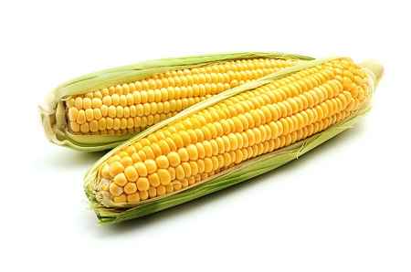خواص و مضرات ذرت Corn در سایت علی نوروزی
