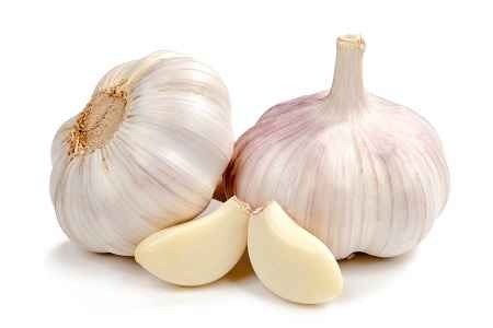 خواص و مضرات سیر Garlic در سایت علی نوروزی