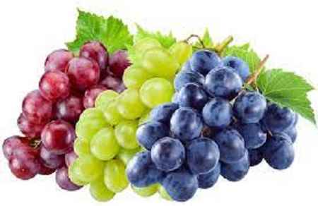خواص و مضرات انگور Grape در سایت علی نوروزی