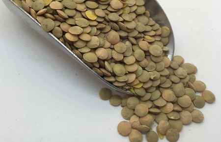 خواص و مضرات عدس Lentil در سایت علی نوروزی