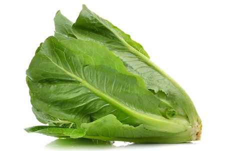 خواص و مضرات کاهو Lettuce در سایت علی نوروزی