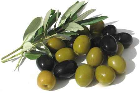 خواص و مضرات زیتون Olive در سایت علی نوروزی