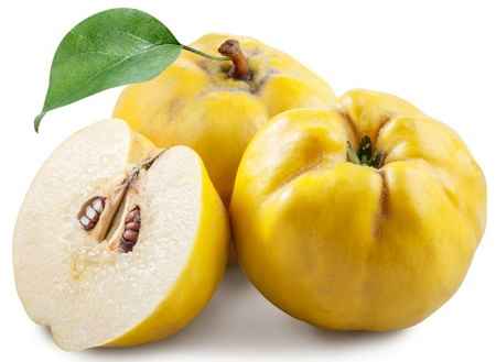 خواص و مضرات به Quince در سایت علی نوروزی