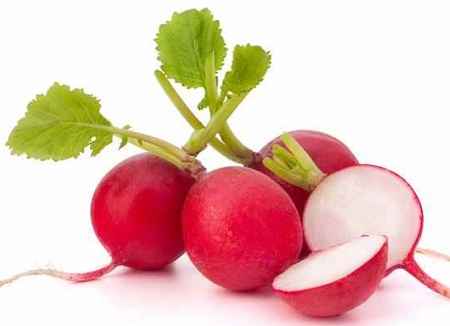 خواص و مضرات ترب و تربچه Radish در سایت علی نوروزی