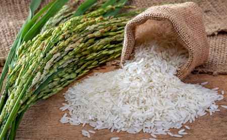خواص و مضرات برنج Rice در سایت علی نوروزی