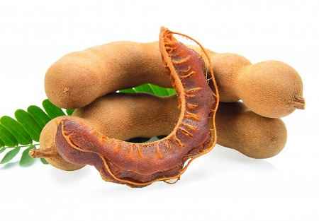 خواص و مضرات تمبر هندی Tamarind در سایت علی نوروزی