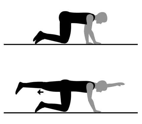 پیشگیری و درمان کمردرد در سایت علی نوروزی