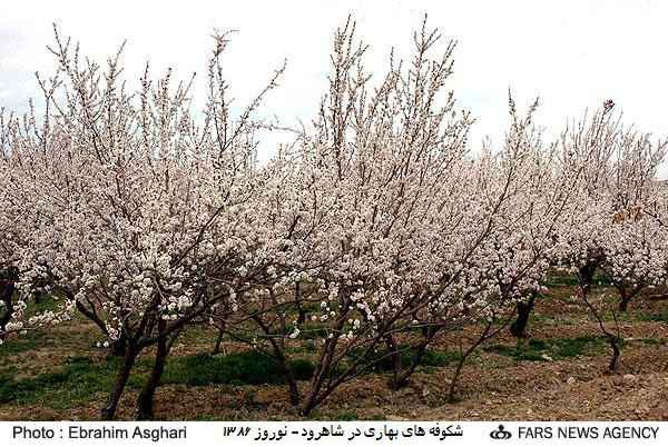 نقاط دیدنی استان سمنان در سایت علی نوروزی