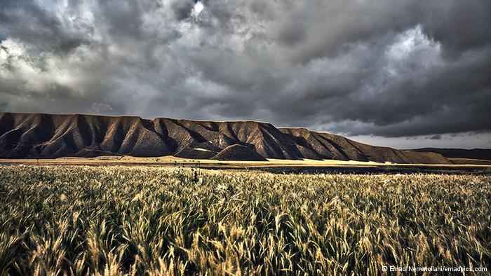 ترکمن صحرا در سایت علی نوروزی