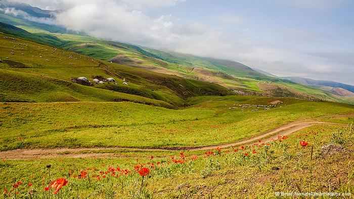 سوباتان در سایت علی نوروزی