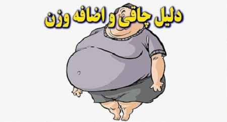 همه چیز درباره چاقی و کاهش وزن در سایت علی نوروزی