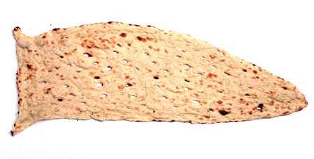 روش صحیح نگهداری نان در سایت علی نوروزی