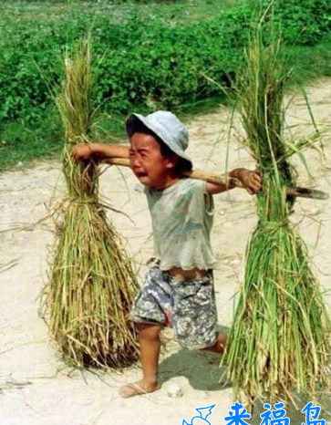 مطلب تصویری و آموزنده - پس اونا چی در سایت علی نوروزی