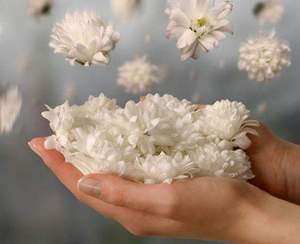 زندگی، یک نعمت است در سایت علی نوروزی