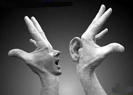 گوش شنوای خانه در سایت علی نوروزی