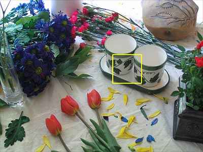 حساسیت و نویز در عکاسی دیجیتال در سایت علی نوروزی