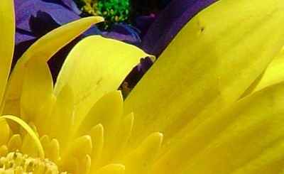 حساسیت و نویز در عکاسی دیجیتال در سایت علی نوروزی