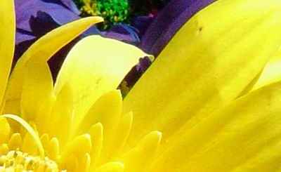 حساسیت و نویز در عکاسی دیجیتال در سایت علی نوروزی