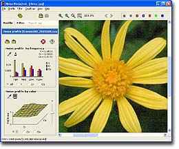 حساسیت و نویز در عکاسی دیجیتال در سایت علی نوروزی
