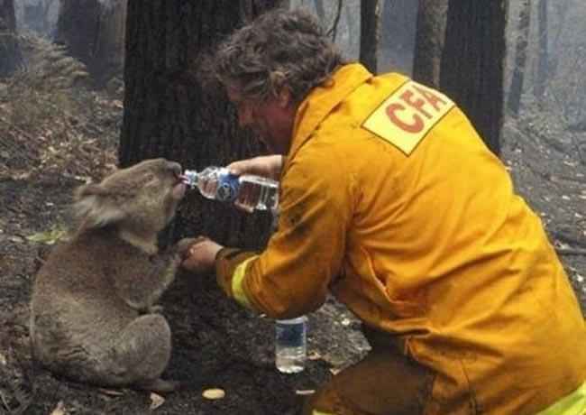 انسانیت هنوز وجود دارد در سایت علی نوروزی