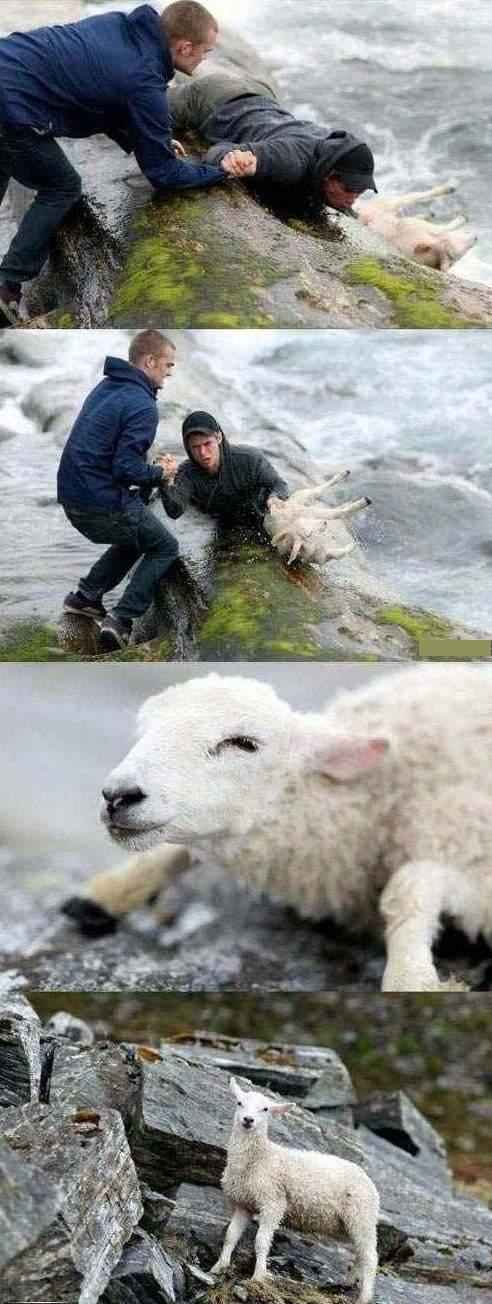 انسانیت هنوز وجود دارد در سایت علی نوروزی