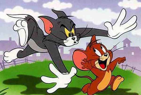 حقایقی تکان دهنده در سایت علی نوروزی