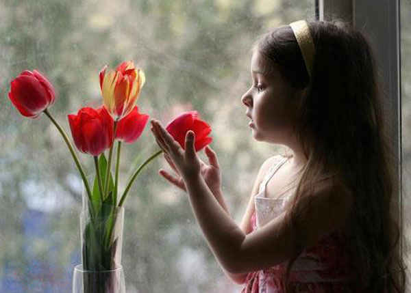 حقایقی تکان دهنده در سایت علی نوروزی