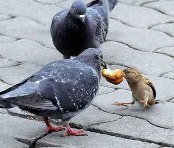 حقایقی تکان دهنده در سایت علی نوروزی