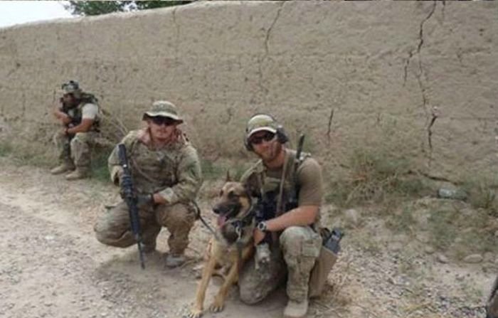 داستان تصویری یک عشق واقعی در سایت علی نوروزی