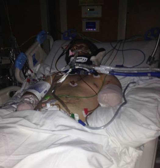 داستان تصویری یک عشق واقعی در سایت علی نوروزی